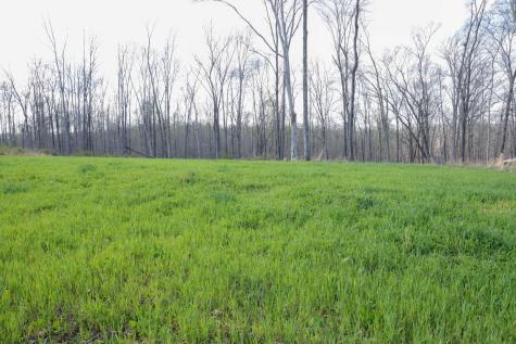 0 Bell Hollow Road Vanleer TN 37181