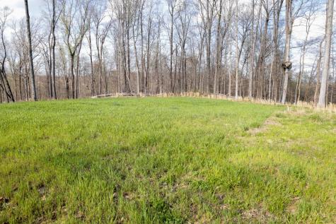 0 Bell Hollow Road Vanleer TN 37181