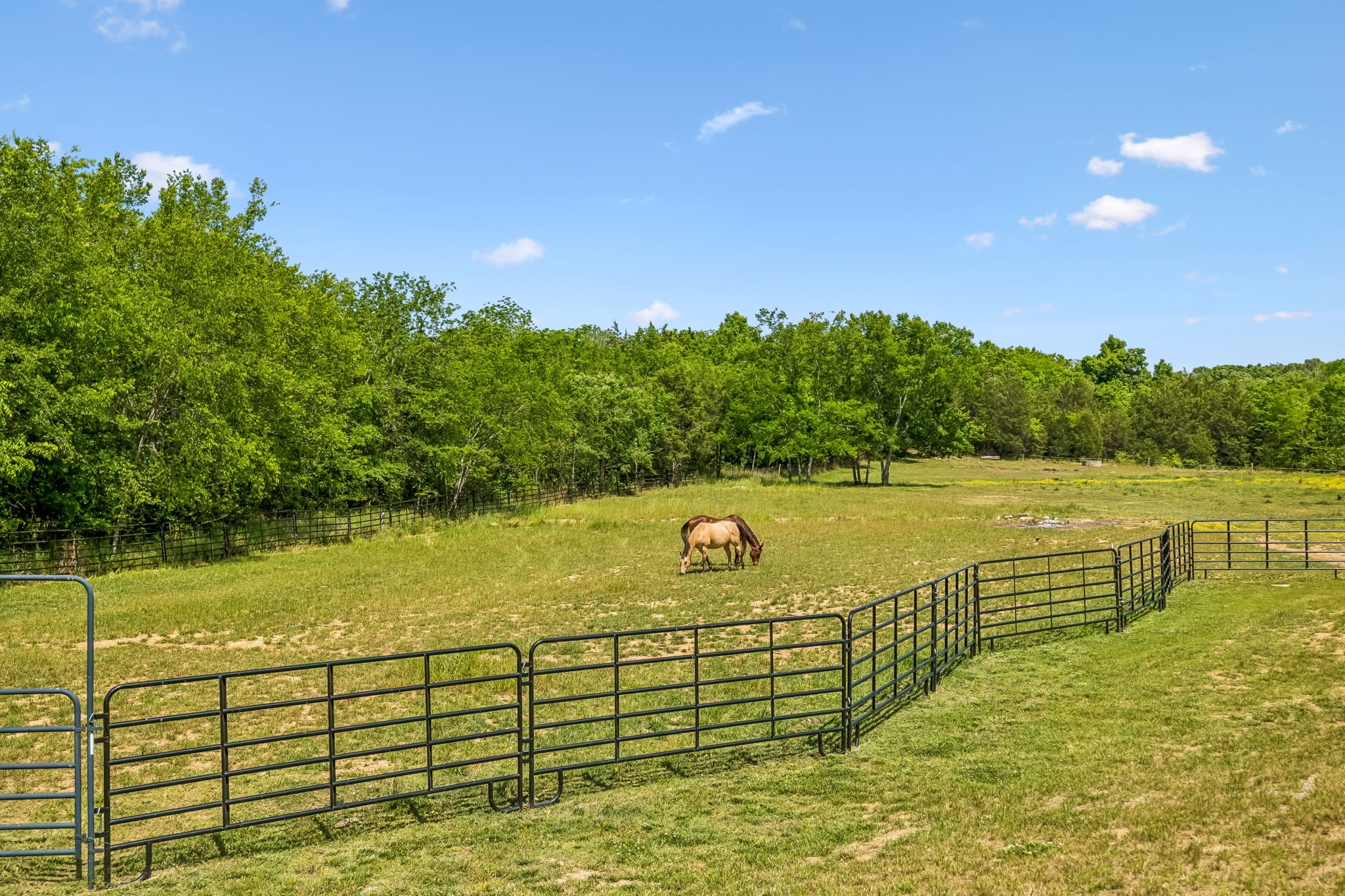182 Trinity Road Franklin TN 37067