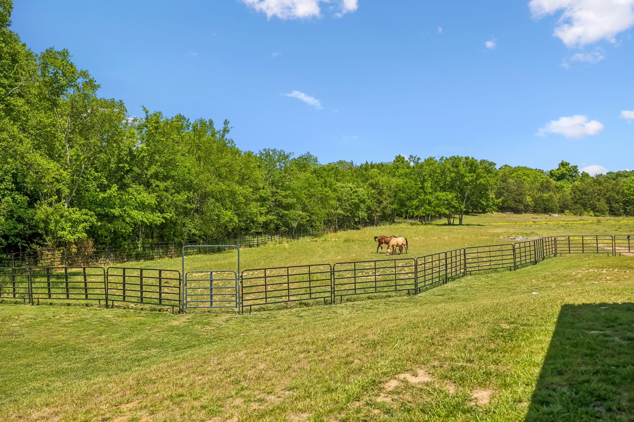 182 Trinity Road Franklin TN 37067