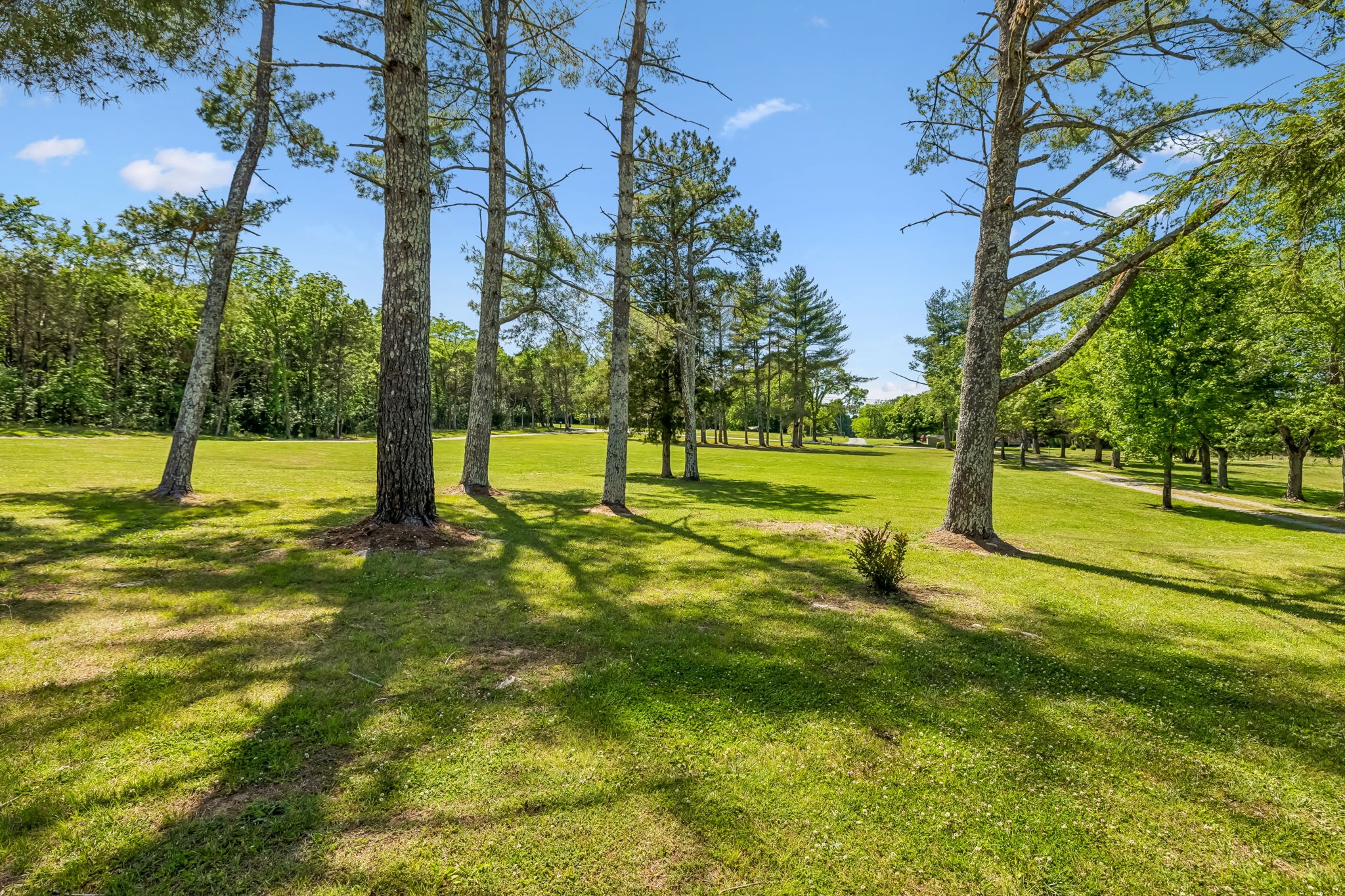 182 Trinity Road Franklin TN 37067