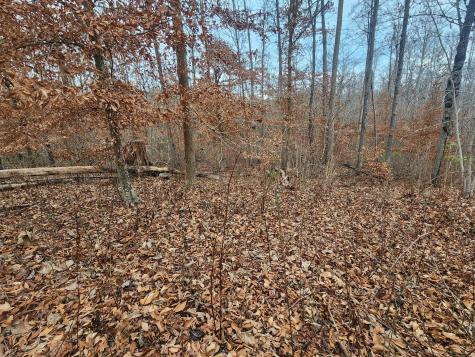 0 Peninsulas Edge Dr, S Smithville TN 37166