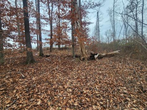 0 Peninsulas Edge Dr, S Smithville TN 37166