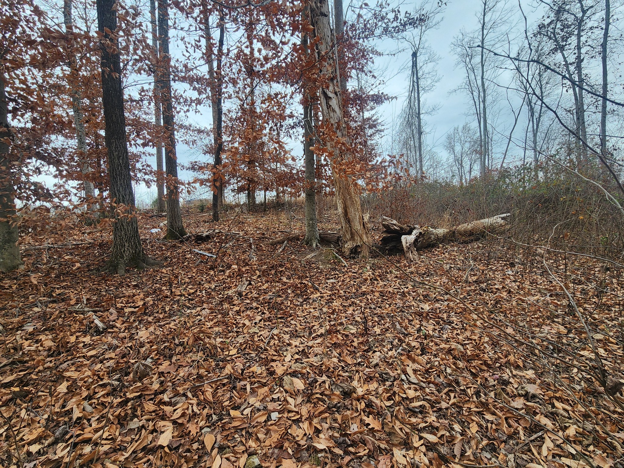 0 Peninsulas Edge Dr, S Smithville TN 37166
