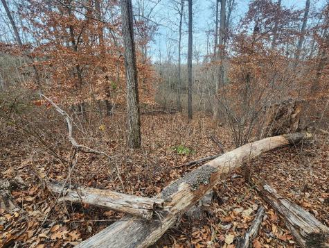 0 Peninsulas Edge Dr, S Smithville TN 37166