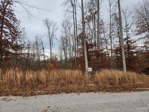 0 Peninsulas Edge Dr, S Smithville TN 37166