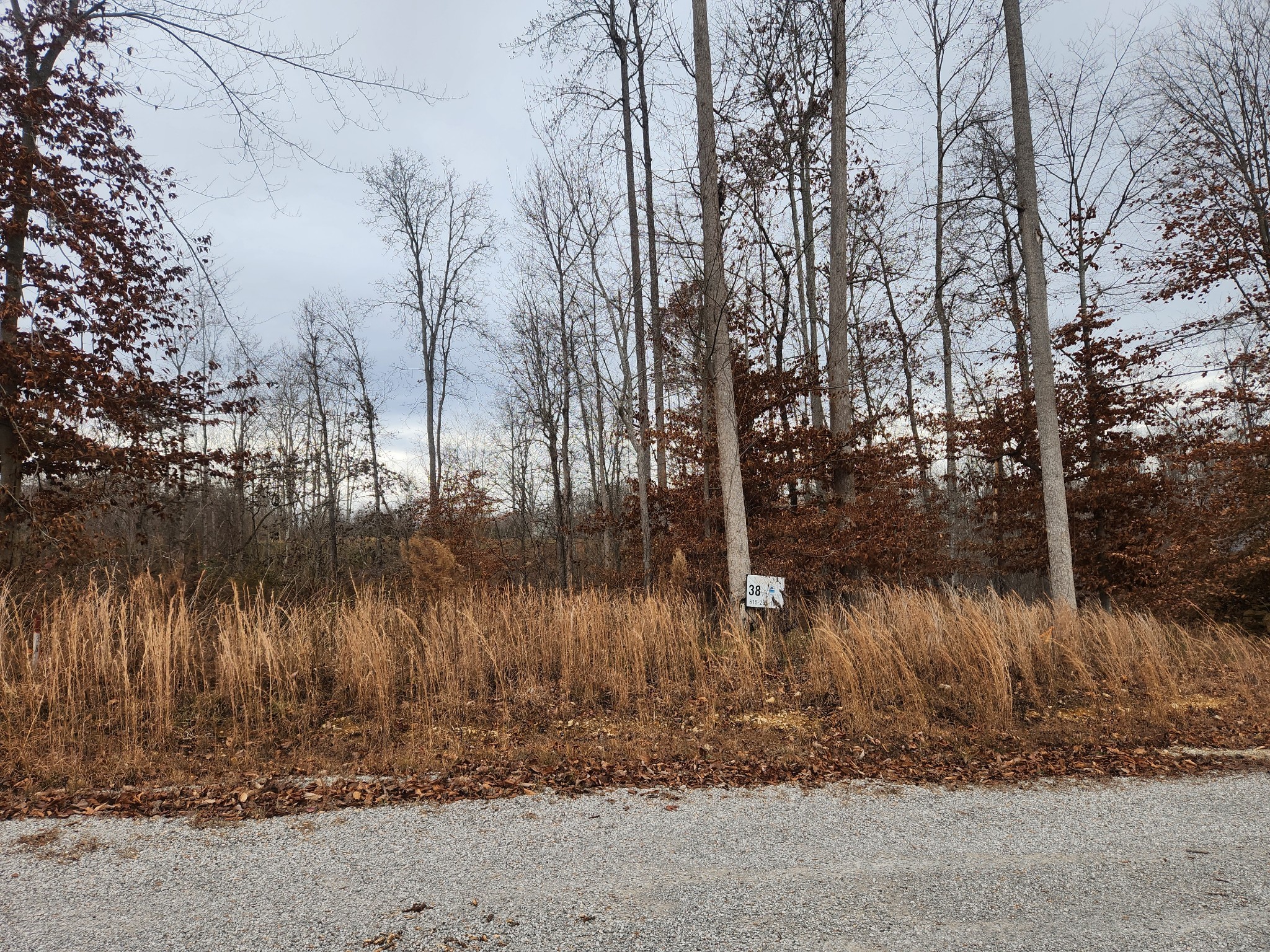0 Peninsulas Edge Dr, S Smithville TN 37166