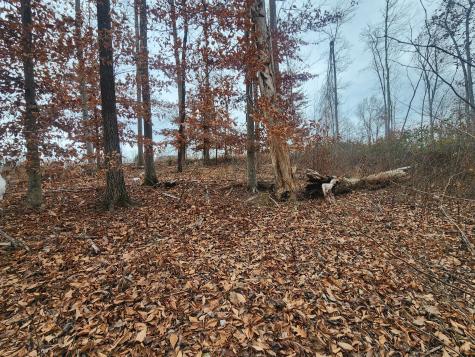 0 Peninsulas Edge Dr, S Smithville TN 37166