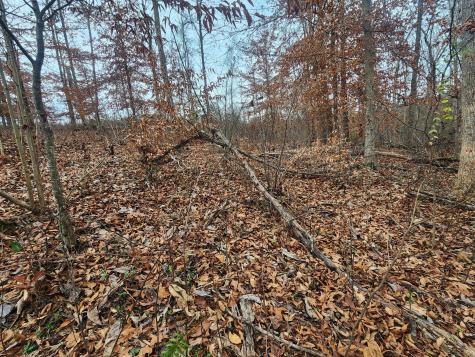 0 Peninsulas Edge Dr, S Smithville TN 37166