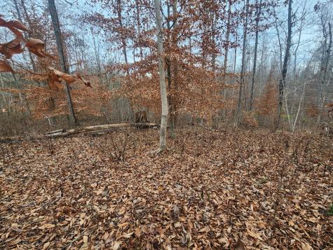 0 Peninsulas Edge Dr, S Smithville TN 37166