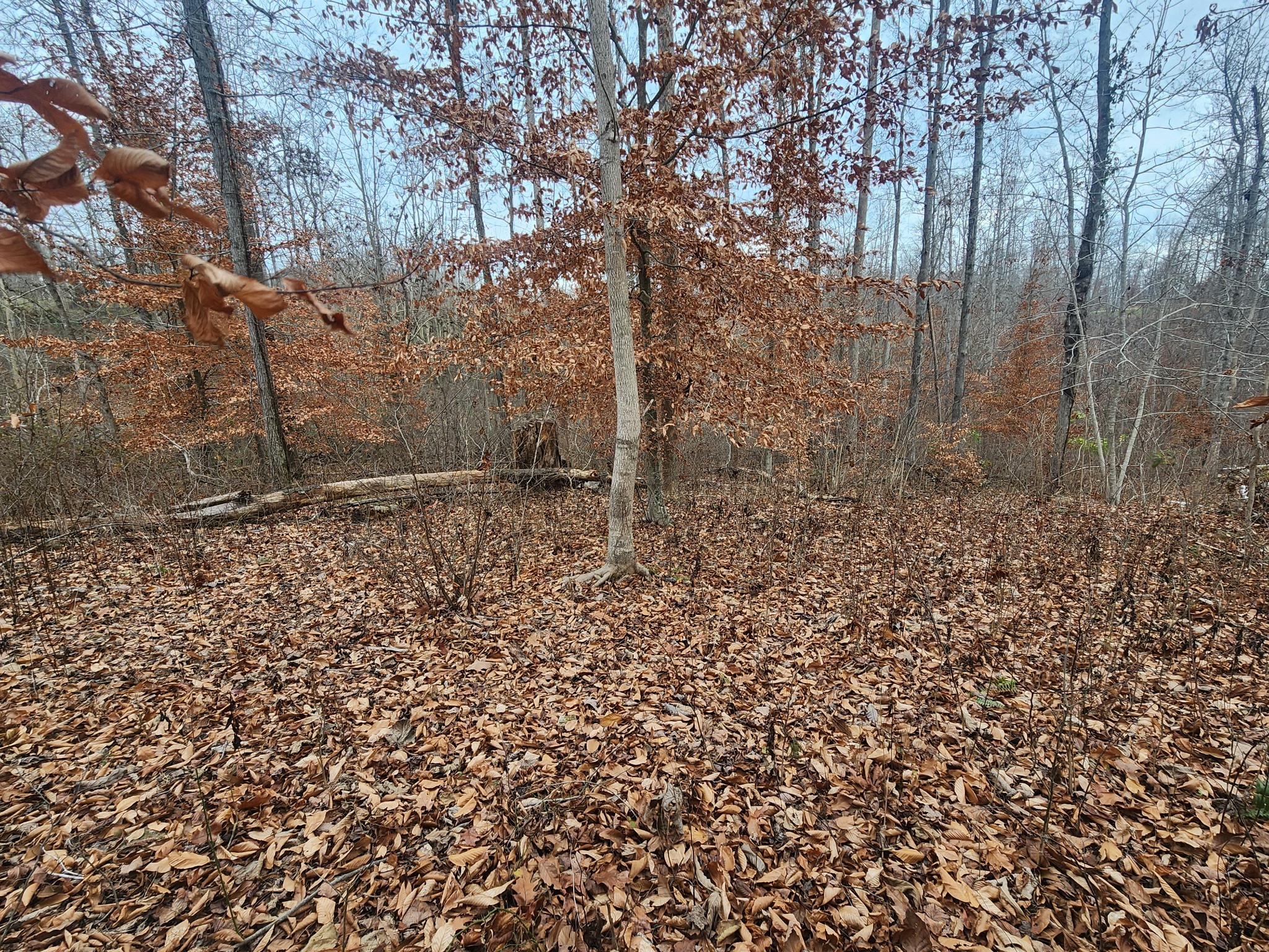 0 Peninsulas Edge Dr, S Smithville TN 37166