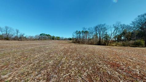 95 Old Mckenzie Road Mc Kenzie TN 38201