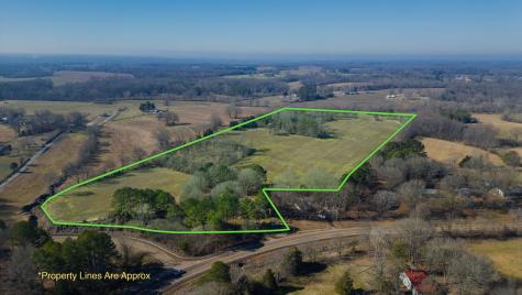 95 Old Mckenzie Road Mc Kenzie TN 38201