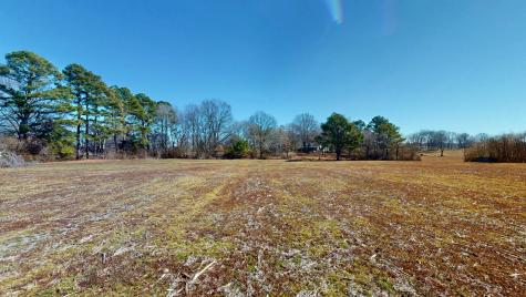 95 Old Mckenzie Road Mc Kenzie TN 38201