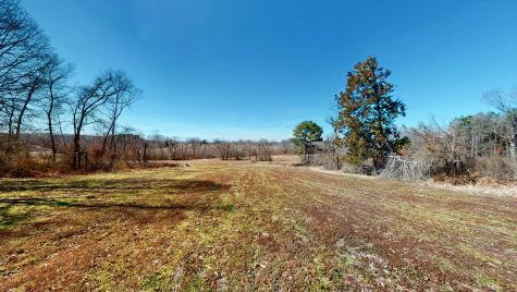 95 Old Mckenzie Road Mc Kenzie TN 38201