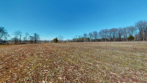 95 Old Mckenzie Road Mc Kenzie TN 38201