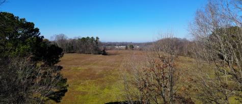 95 Old Mckenzie Road Mc Kenzie TN 38201