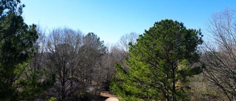 95 Old Mckenzie Road Mc Kenzie TN 38201