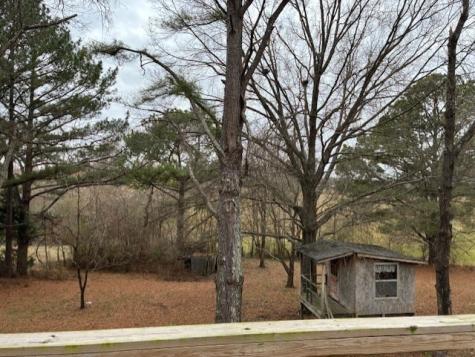 95 Old Mckenzie Road Mc Kenzie TN 38201