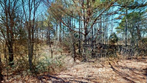 95 Old Mckenzie Road Mc Kenzie TN 38201