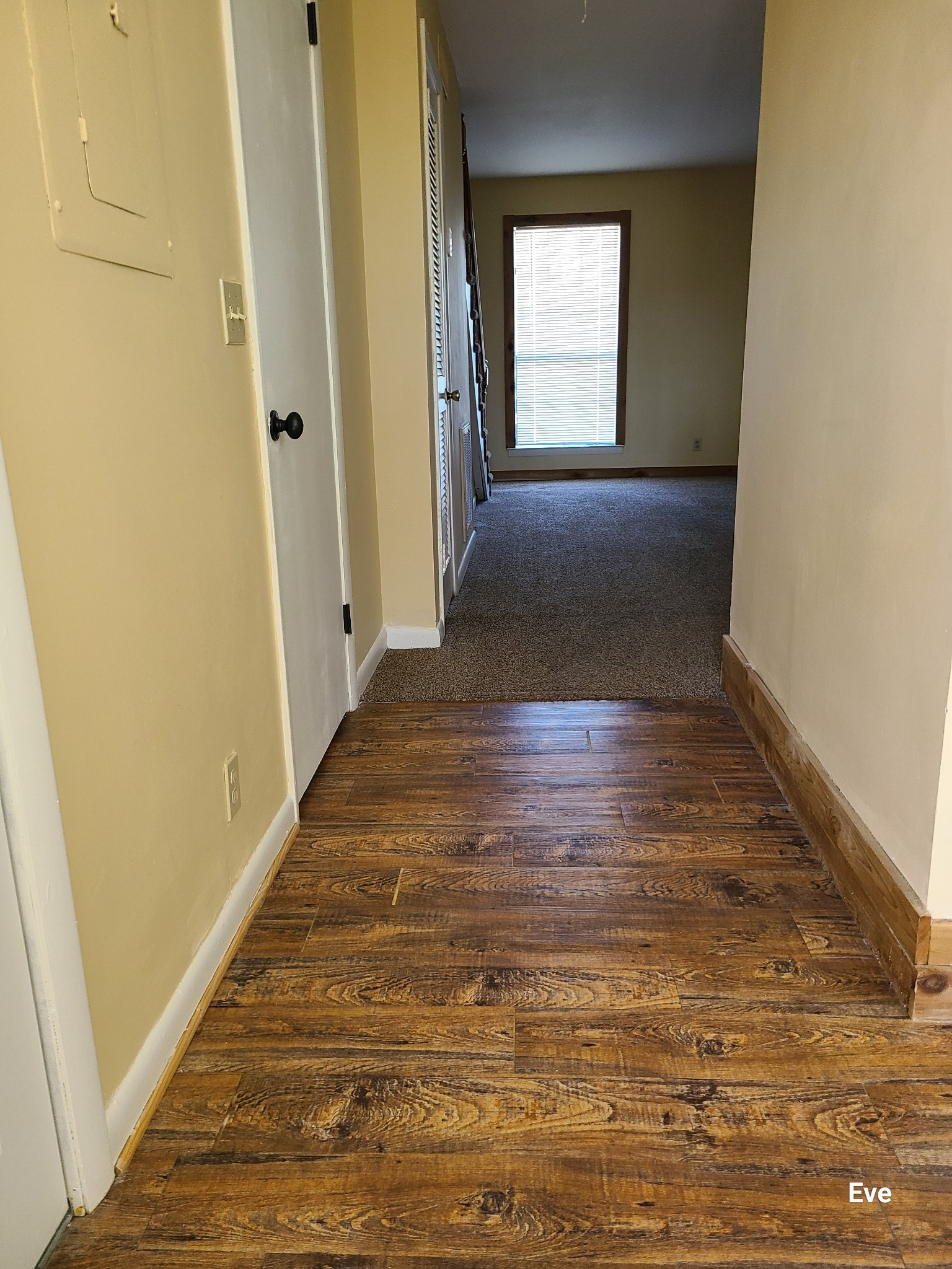 1519 Meadow Bend Drive Madison TN 37115