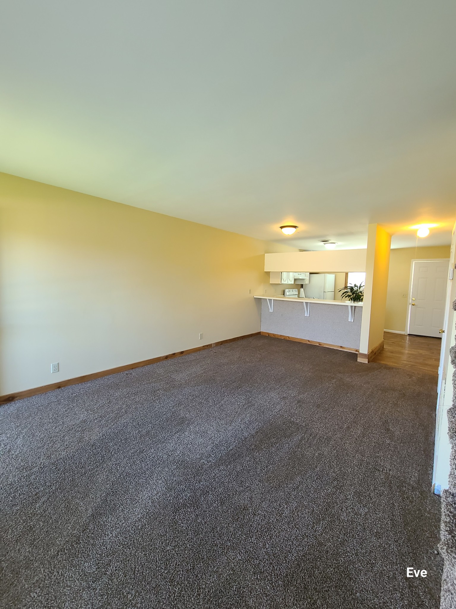 1519 Meadow Bend Drive Madison TN 37115