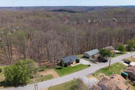 105 Sunnyhill Trail White House TN 37188