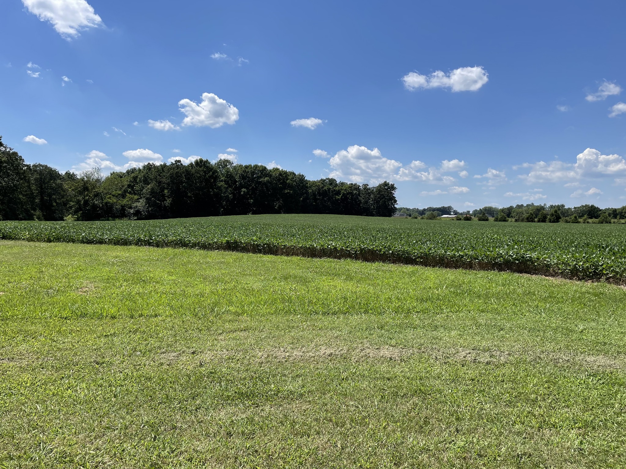 882 Kingdom Road Unionville TN 37180