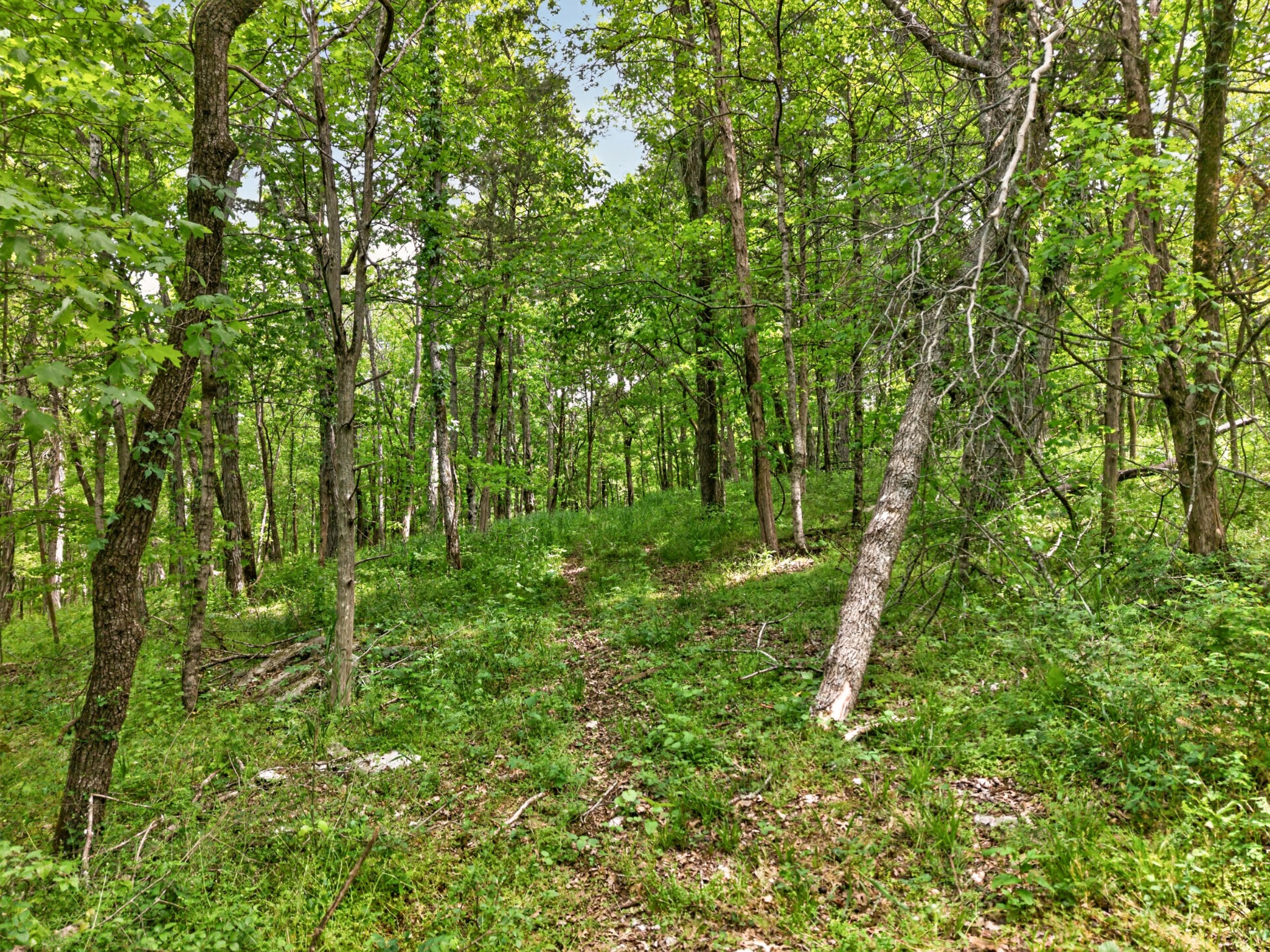 475 Old Elkton Pike Fayetteville TN 37334