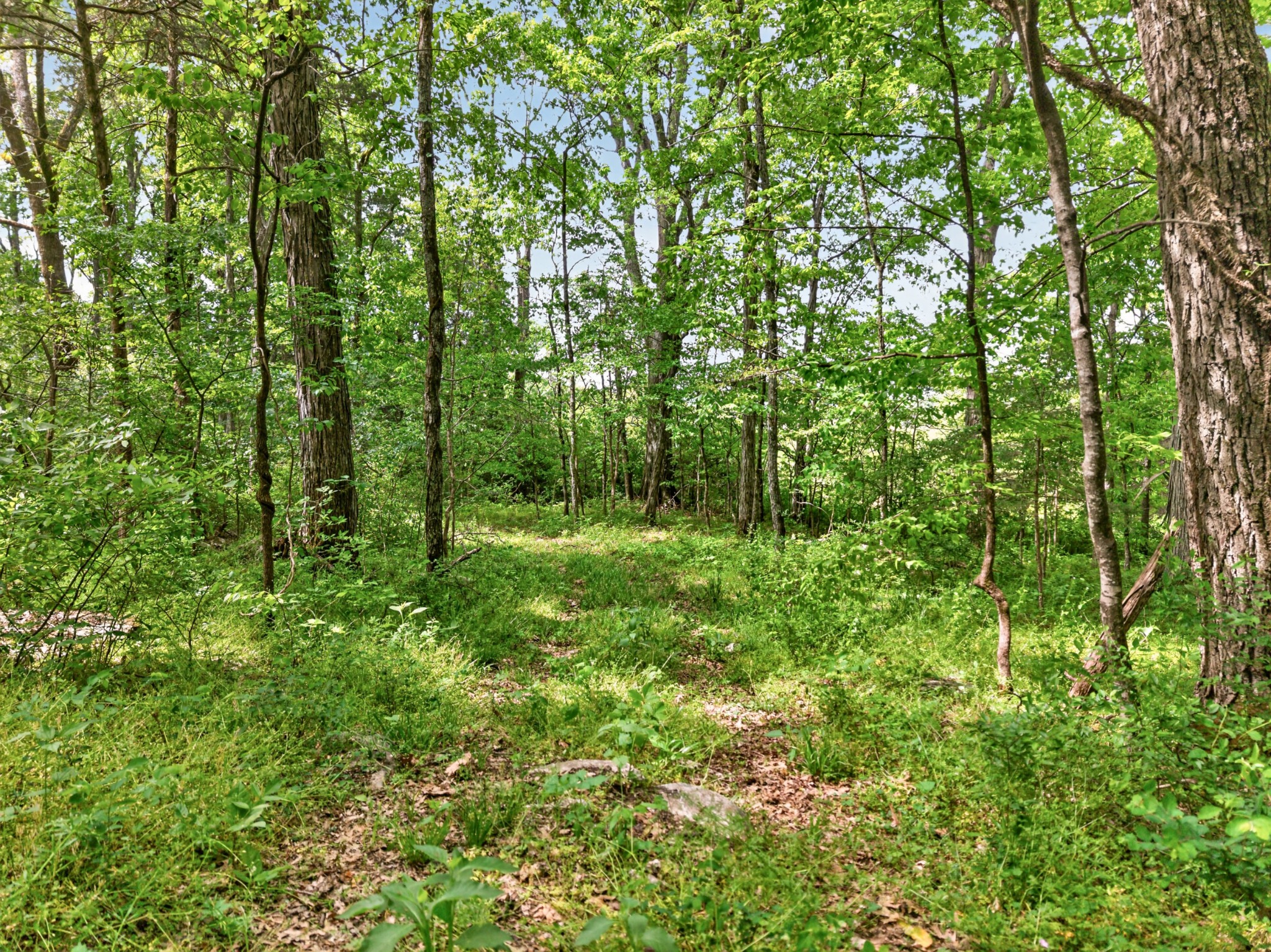 475 Old Elkton Pike Fayetteville TN 37334