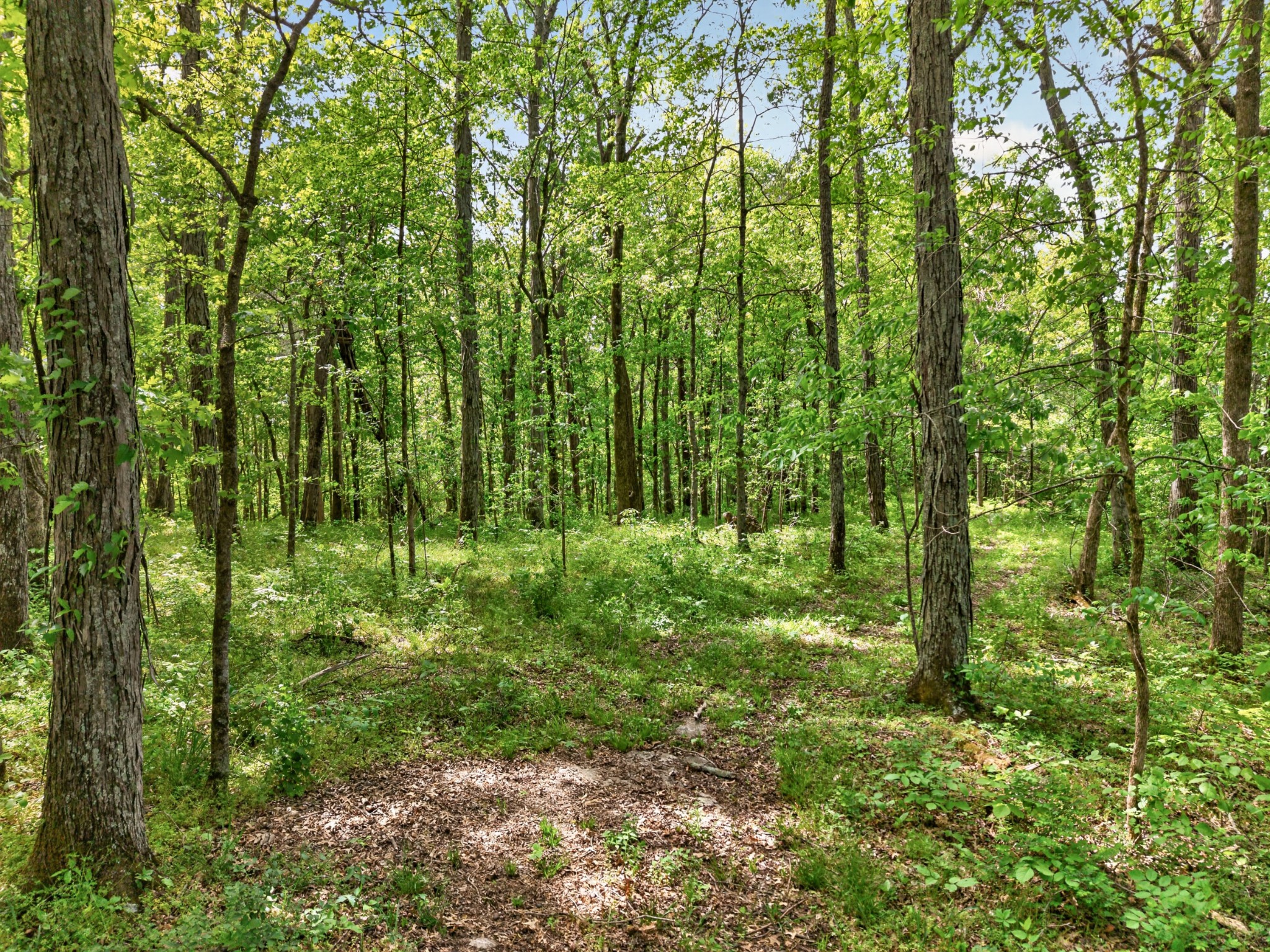 475 Old Elkton Pike Fayetteville TN 37334