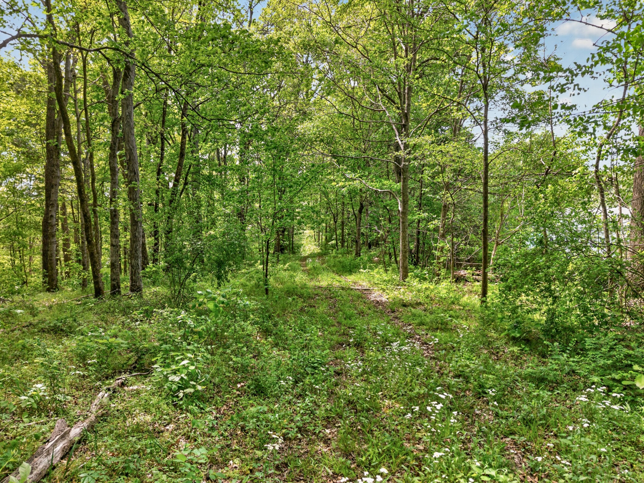 475 Old Elkton Pike Fayetteville TN 37334