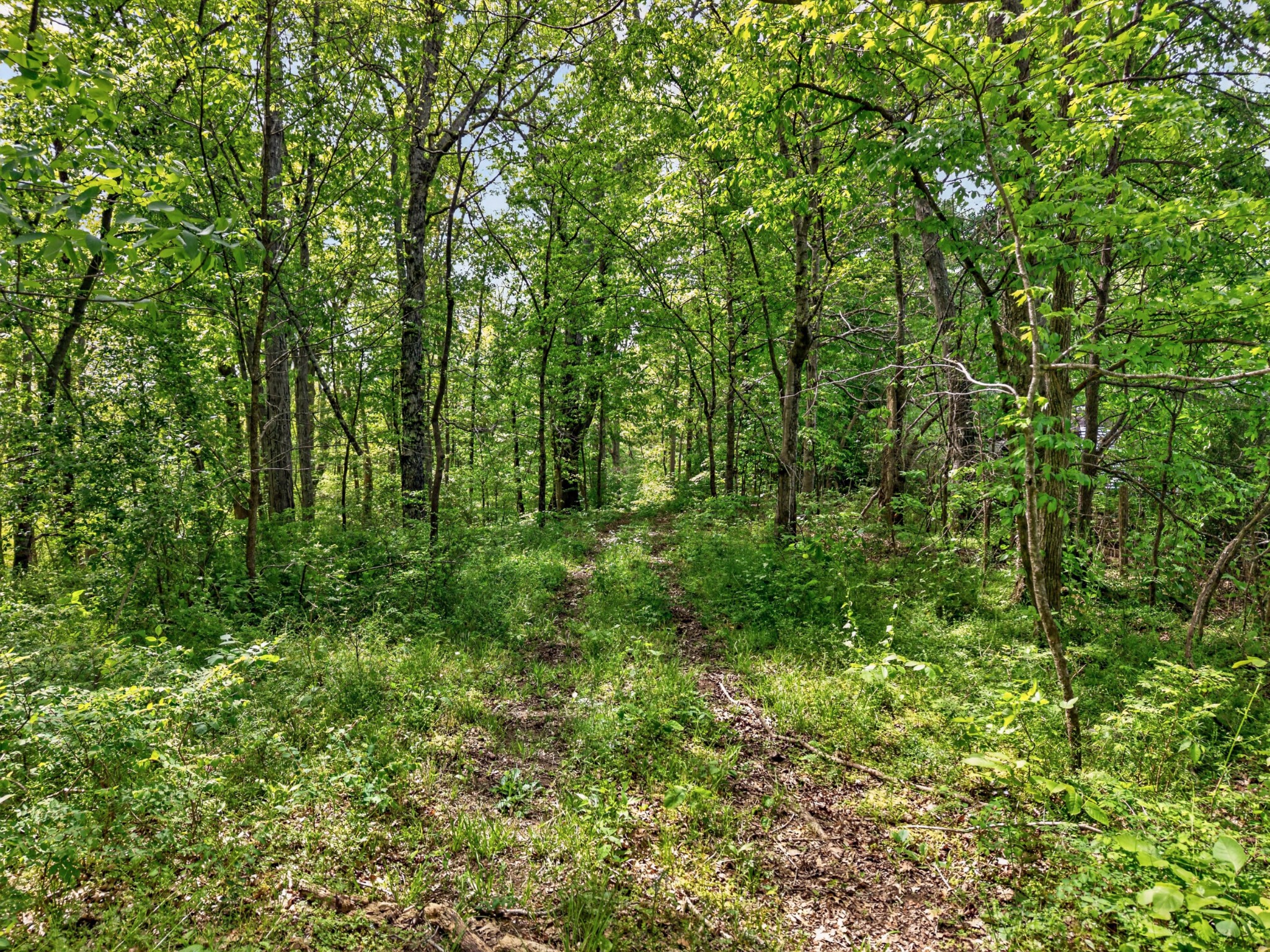 475 Old Elkton Pike Fayetteville TN 37334