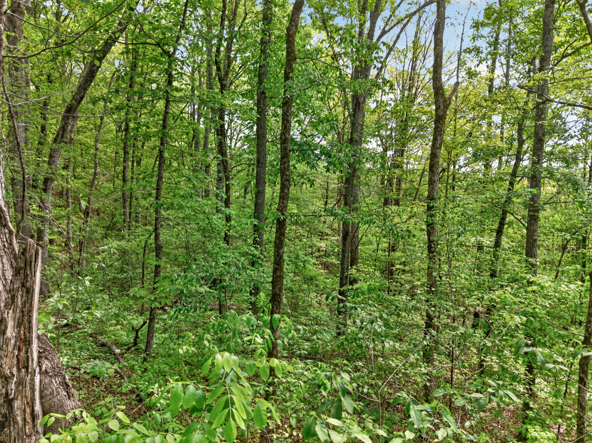 475 Old Elkton Pike Fayetteville TN 37334