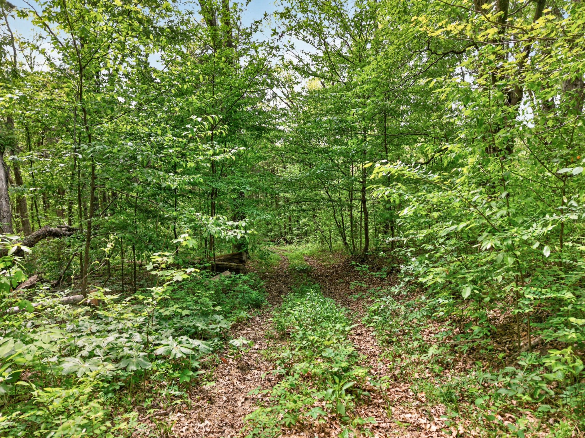 475 Old Elkton Pike Fayetteville TN 37334