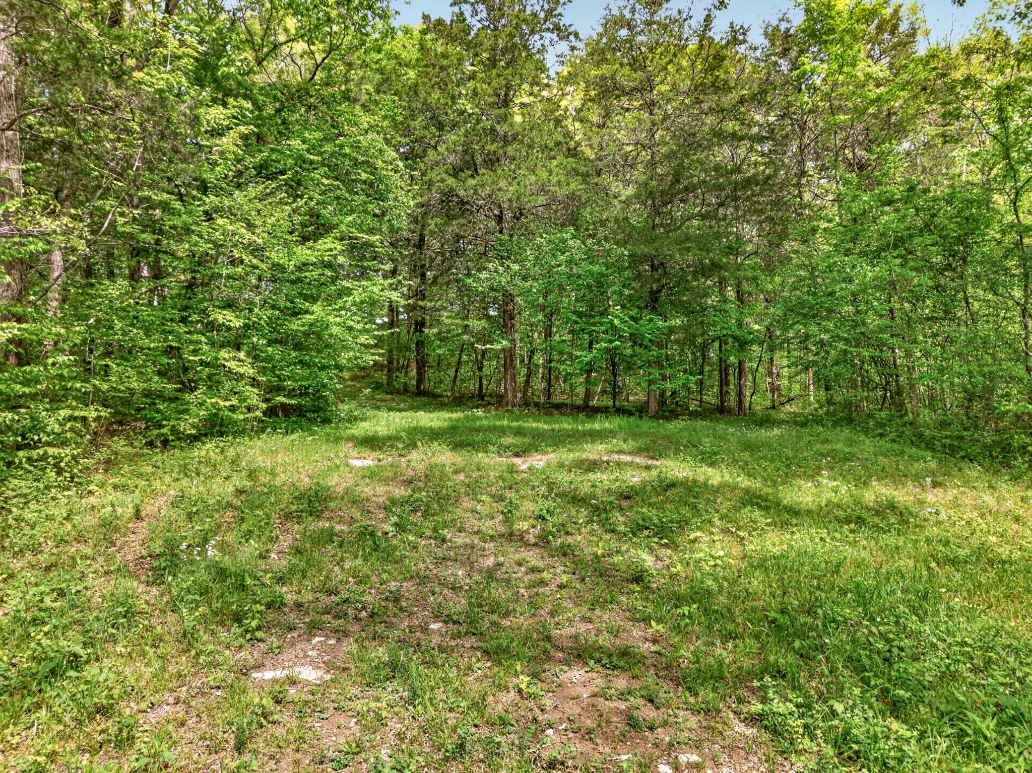 475 Old Elkton Pike Fayetteville TN 37334
