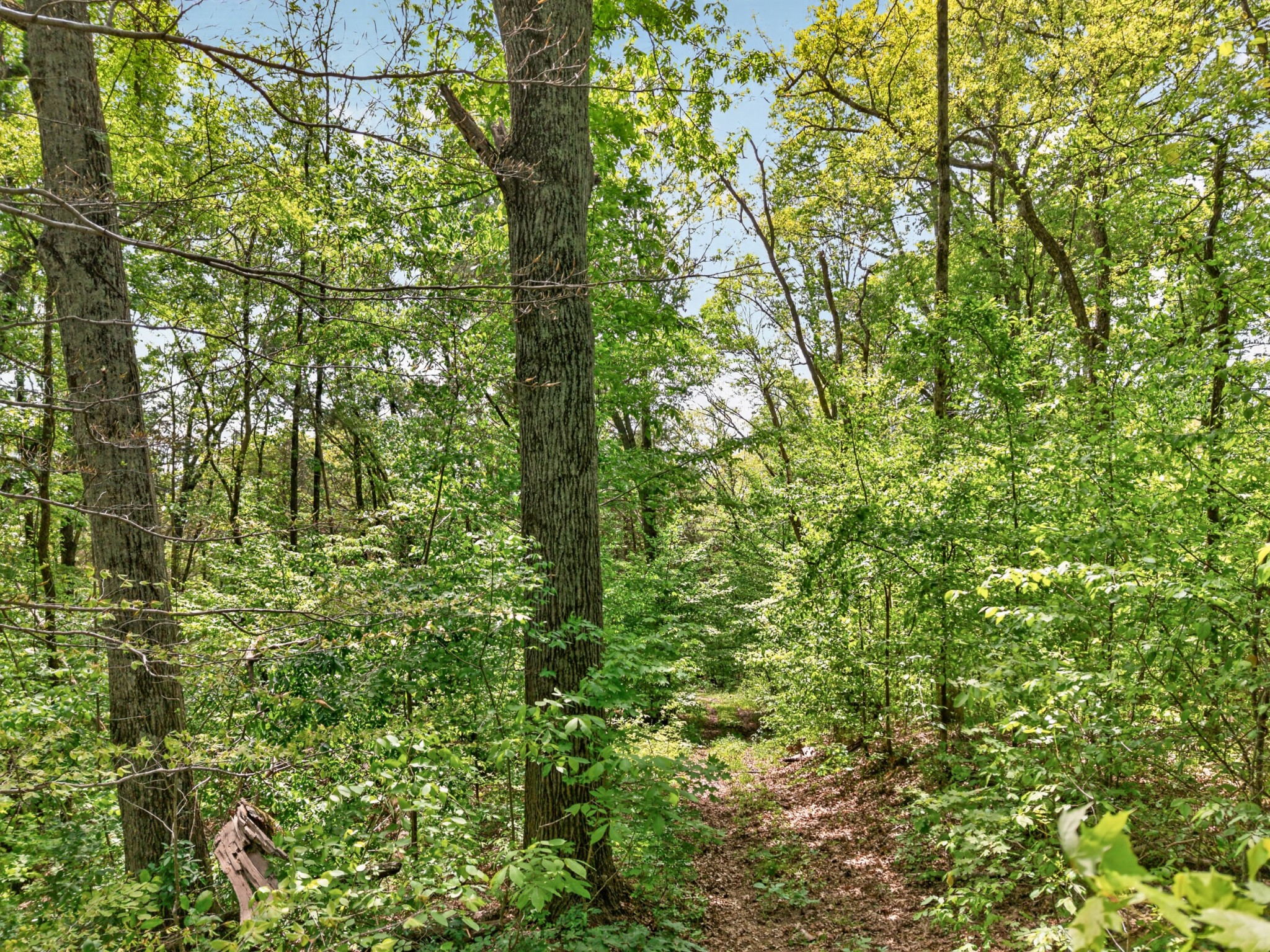 475 Old Elkton Pike Fayetteville TN 37334