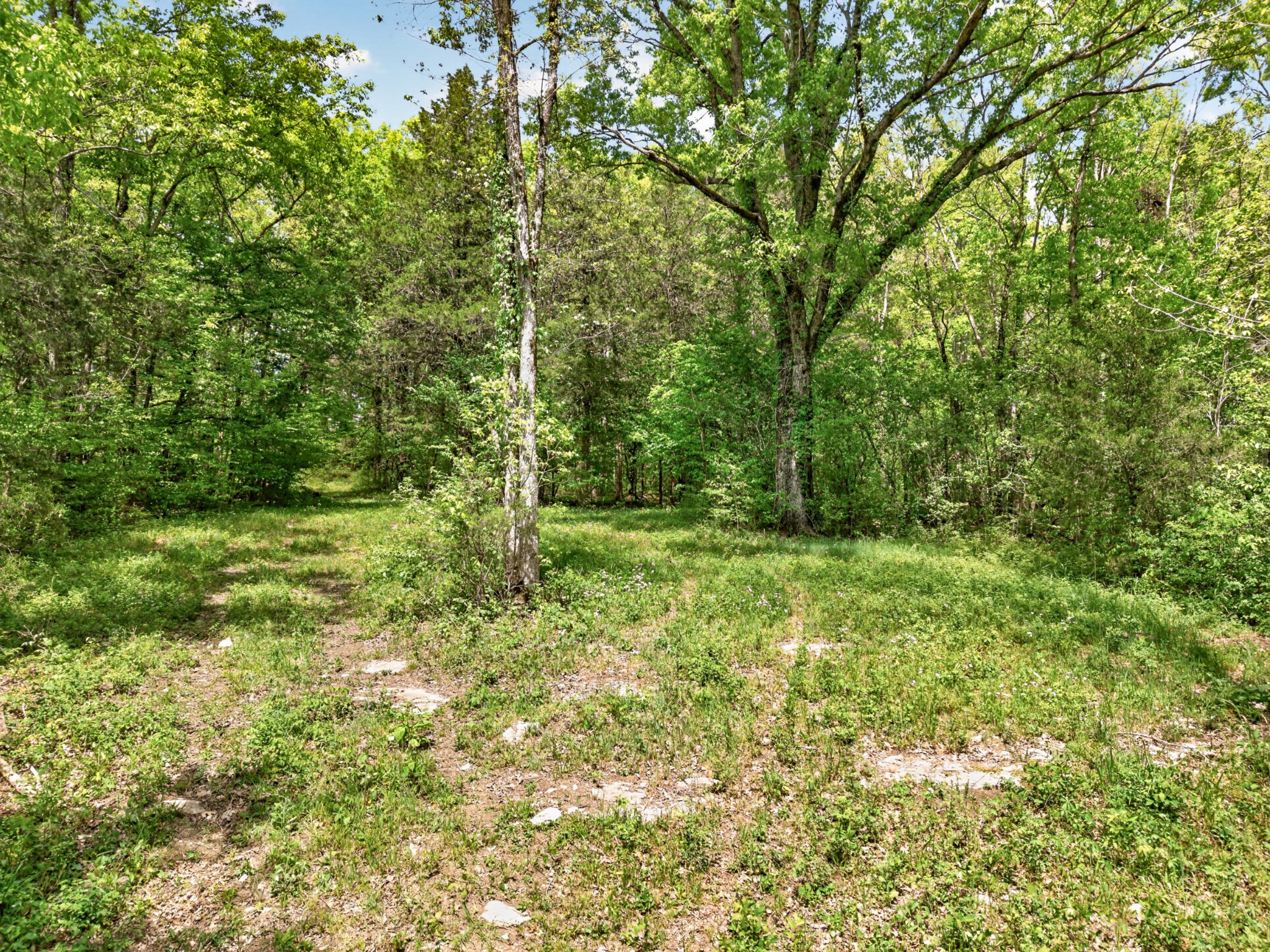 475 Old Elkton Pike Fayetteville TN 37334