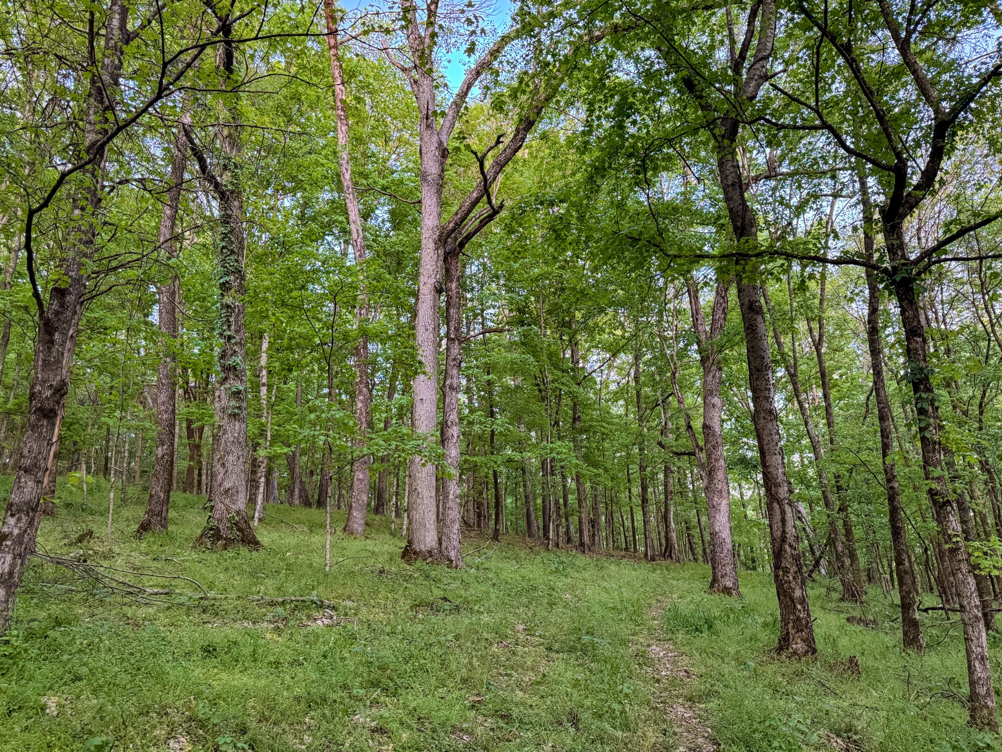 475 Old Elkton Pike Fayetteville TN 37334