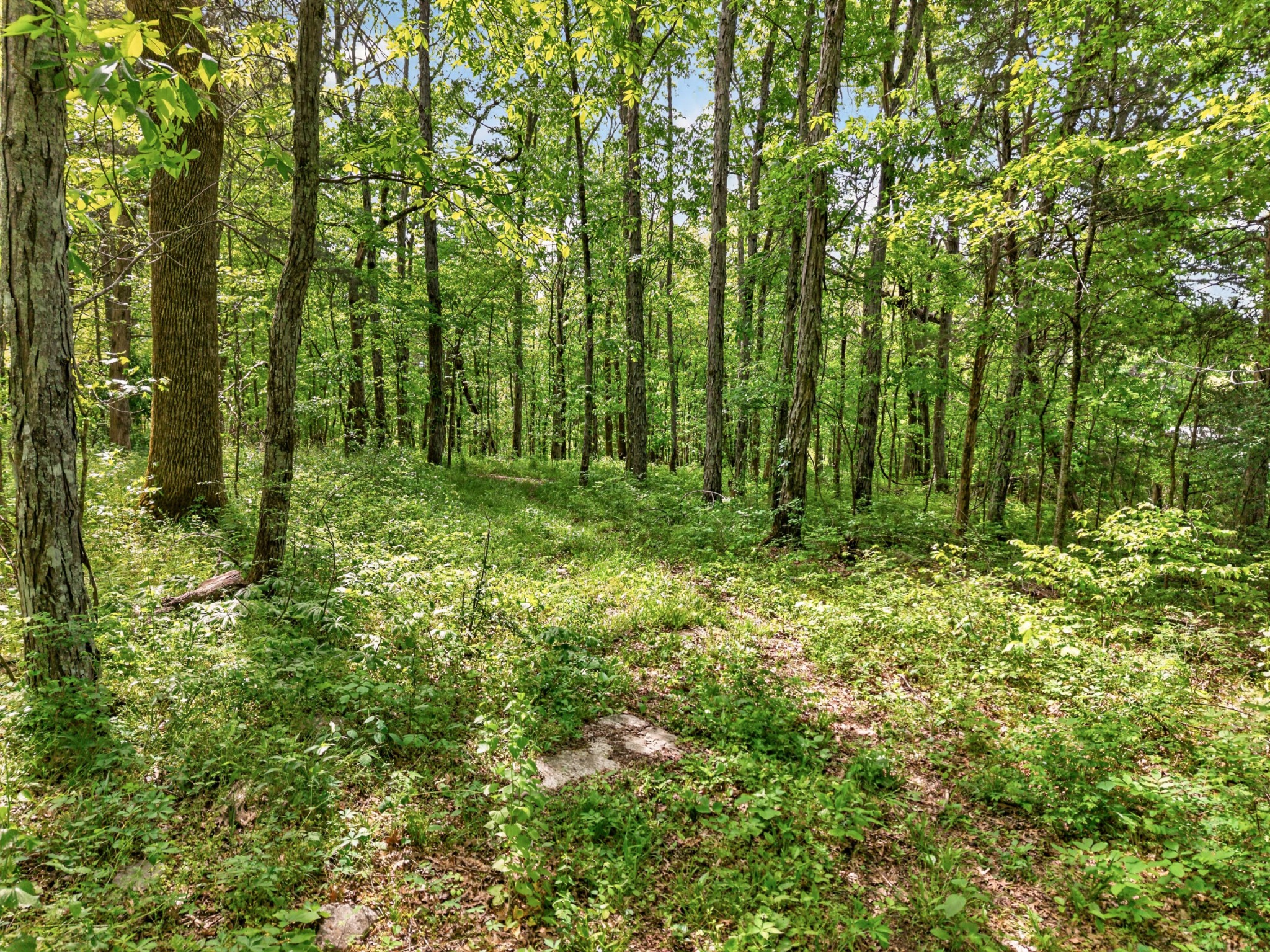 475 Old Elkton Pike Fayetteville TN 37334