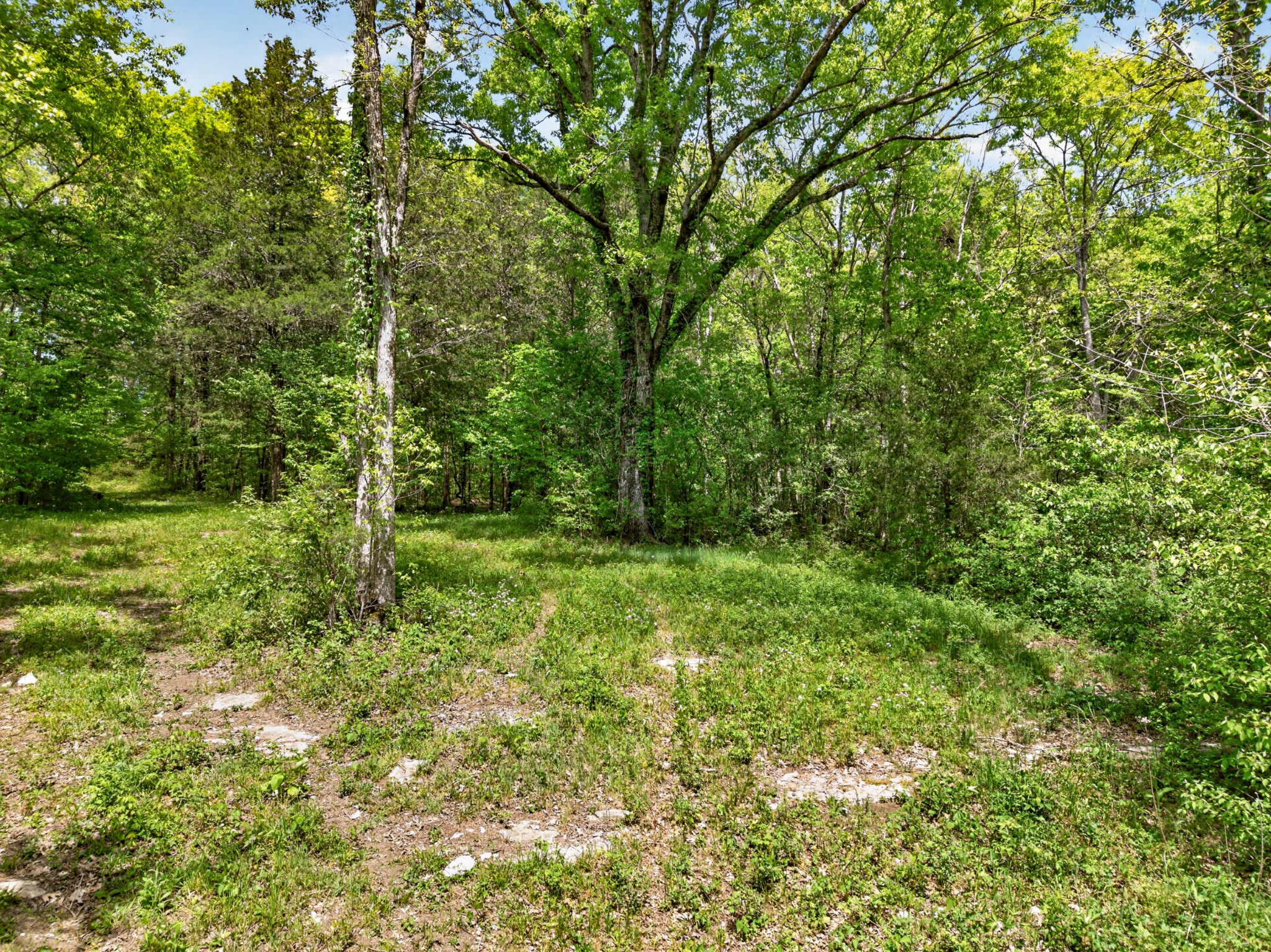 475 Old Elkton Pike Fayetteville TN 37334