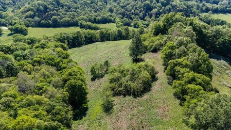 7480 Beech Hill Road Pulaski TN 38478