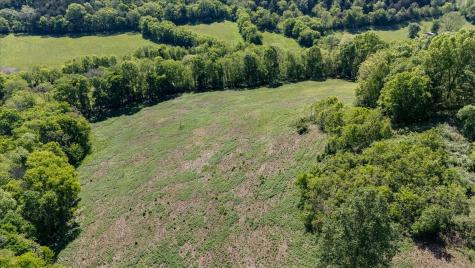 7480 Beech Hill Road Pulaski TN 38478