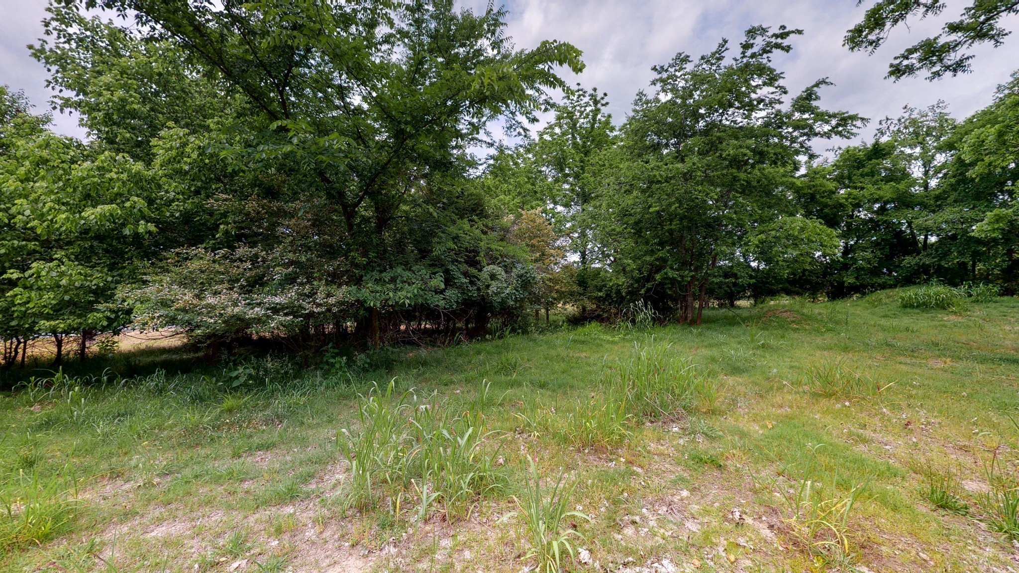 10615 Lebanon Road Mount Juliet TN 37122