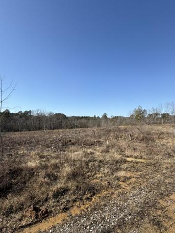 0 Armstrong 1101-3 Road, SE Cleveland TN 37323