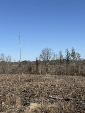 0 Armstrong 1101-3 Road, SE Cleveland TN 37323