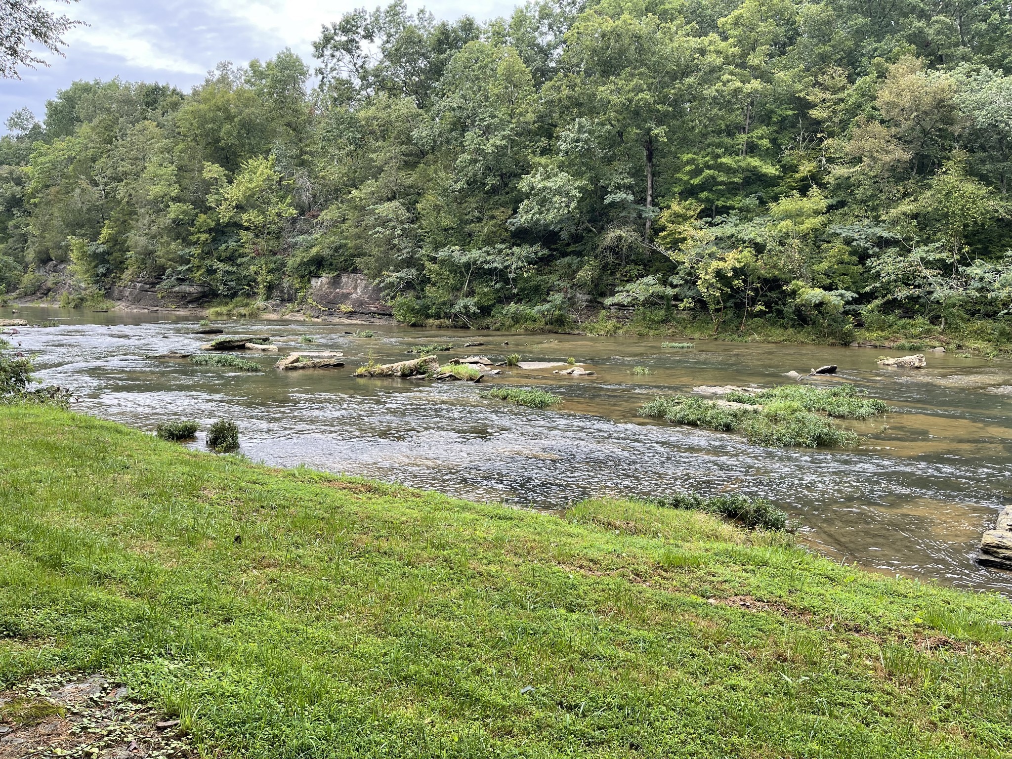 0 Cove Lane Lawrenceburg TN 38464