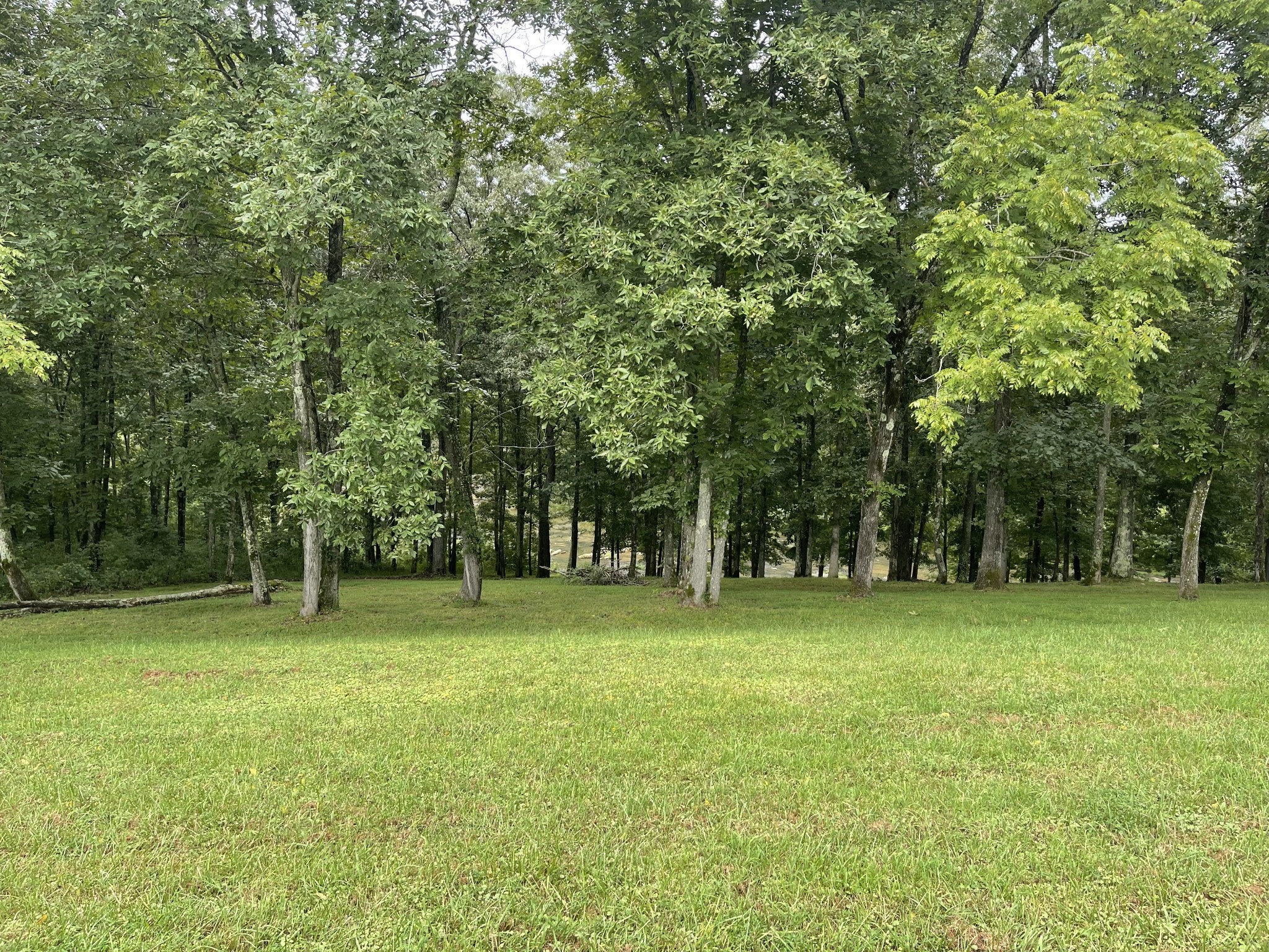 0 Cove Lane Lawrenceburg TN 38464
