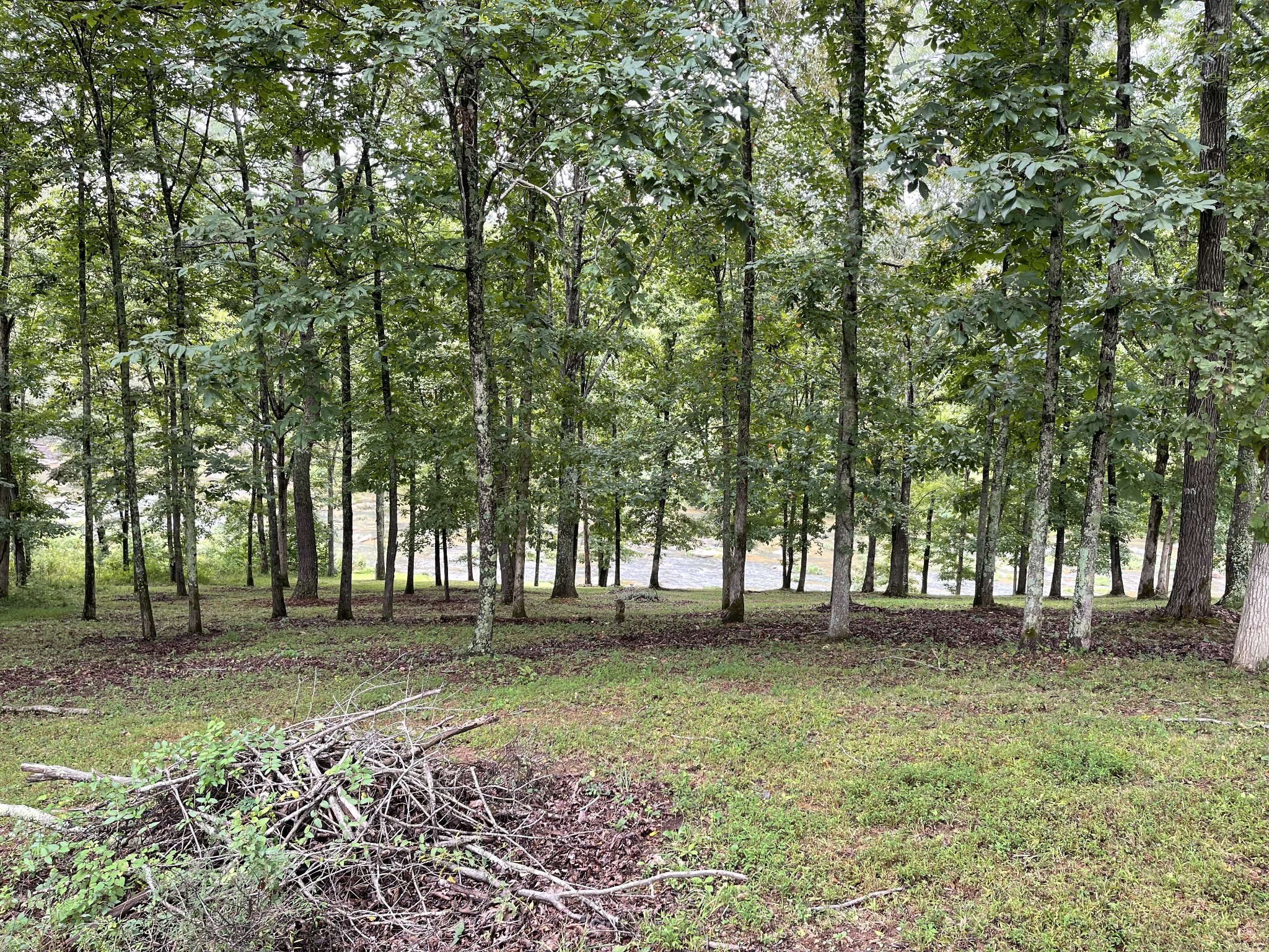 0 Cove Lane Lawrenceburg TN 38464
