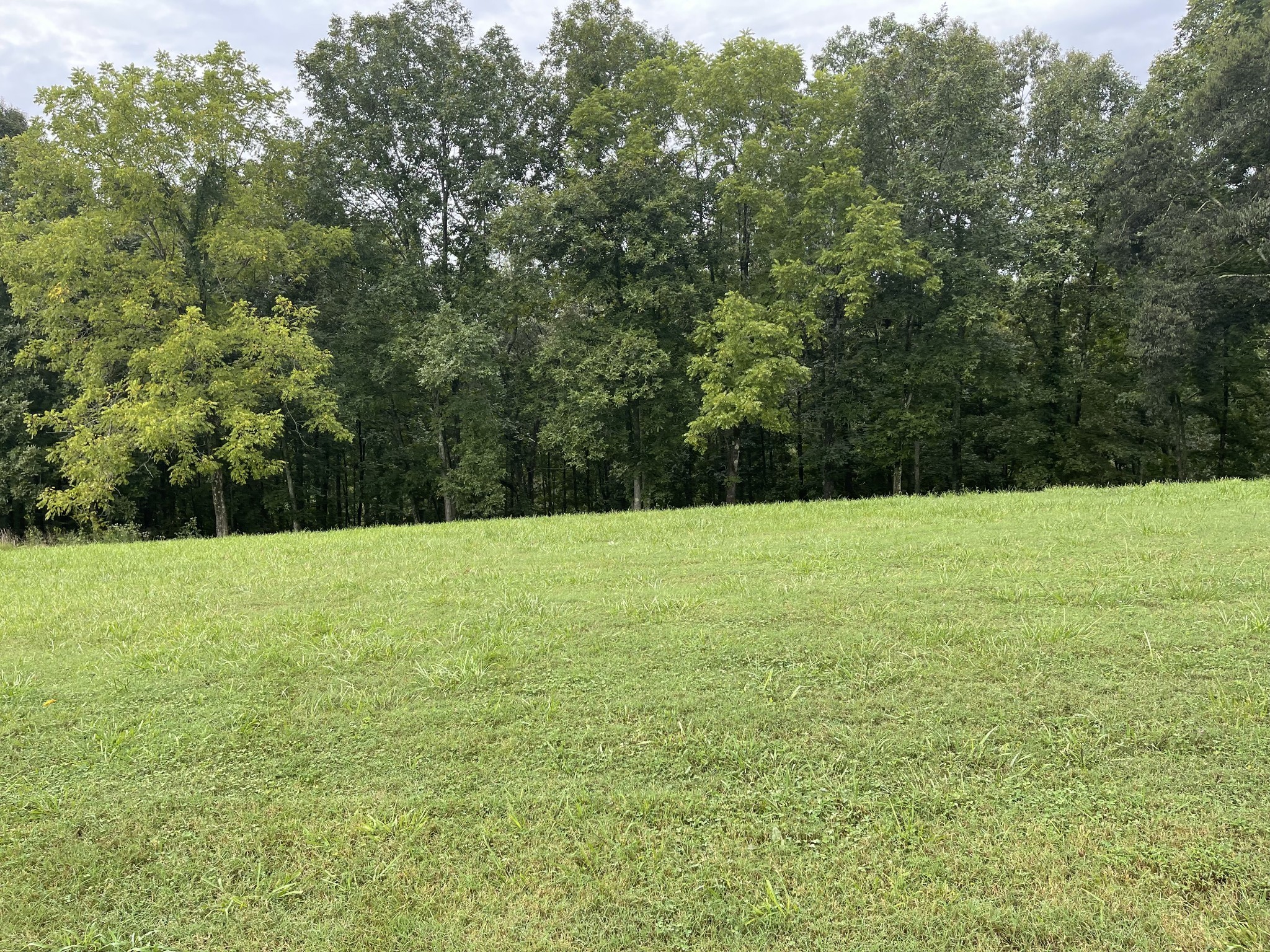 0 Cove Lane Lawrenceburg TN 38464